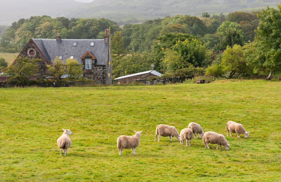7 Costs of Buying Land